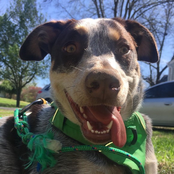 Meet your Posher, Courtney - Picture 1 of 1